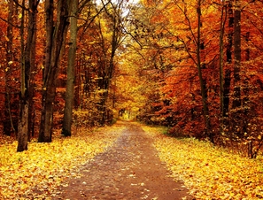 Дьяково городище в Филёвском парке.